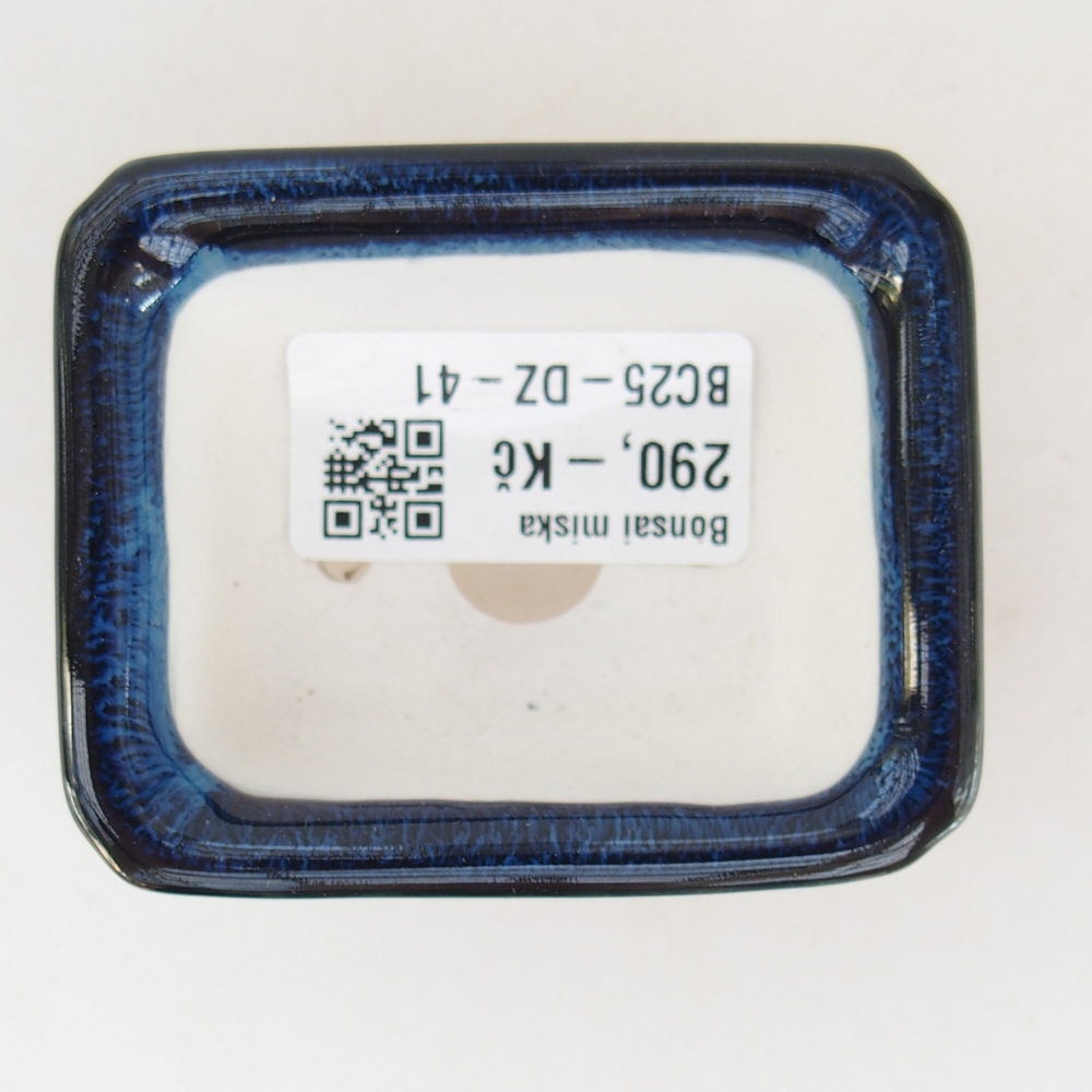 Mini bol bonsaï 7 x 5,5 x 3 cm, couleur bleu
