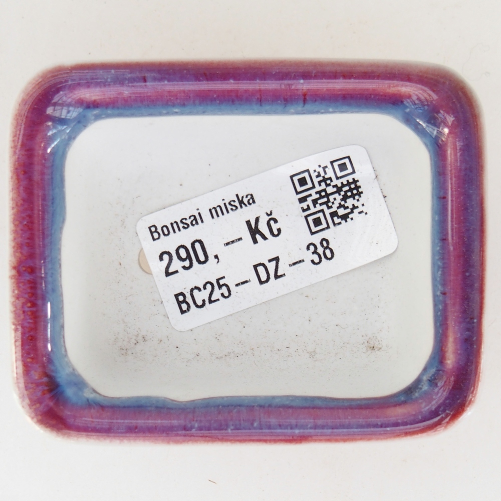 Mini bol bonsaï 7 x 5,5 x 3 cm, couleur violet