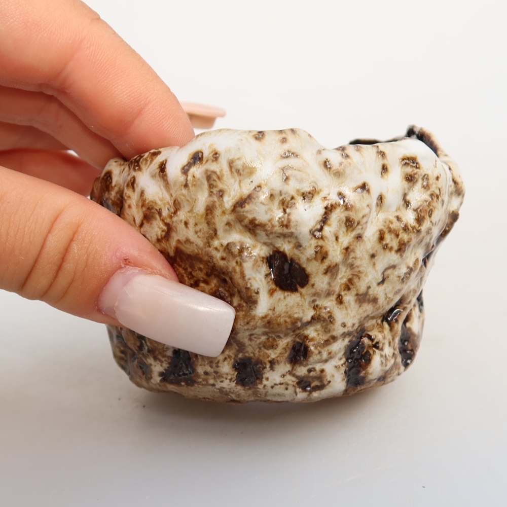 Coquille en céramique  7,5 x 7,5 x 5 cm, couleur blanc-brun