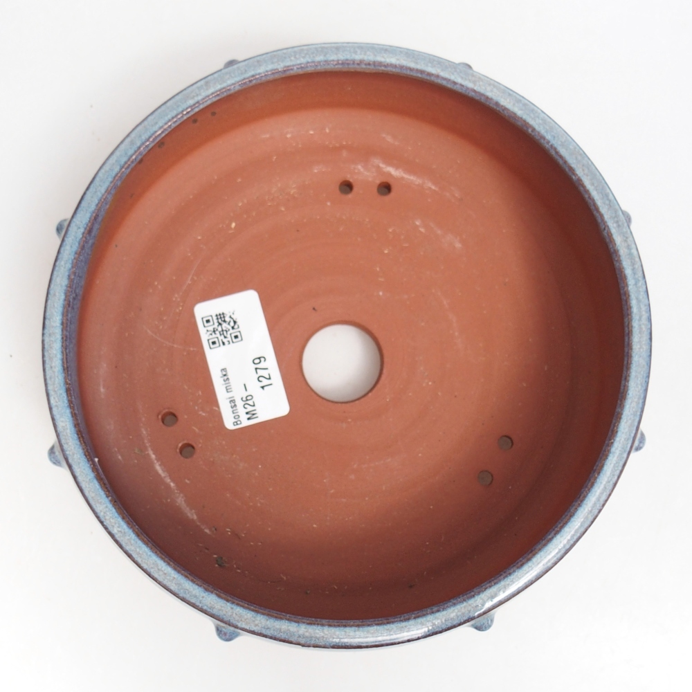 Bol à bonsaï en céramique 17 x 17 x 5,5 cm, couleur bleu
