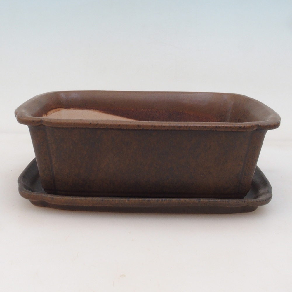 Bol Bonsaï + soucoupe H50 - brun