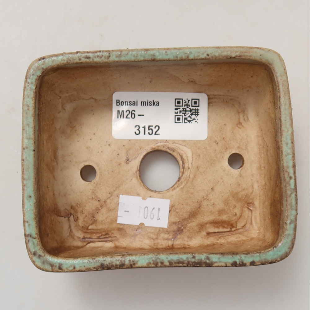 Pot à bonsaï en céramique 10 x 8 x 3,5 cm, couleur verte