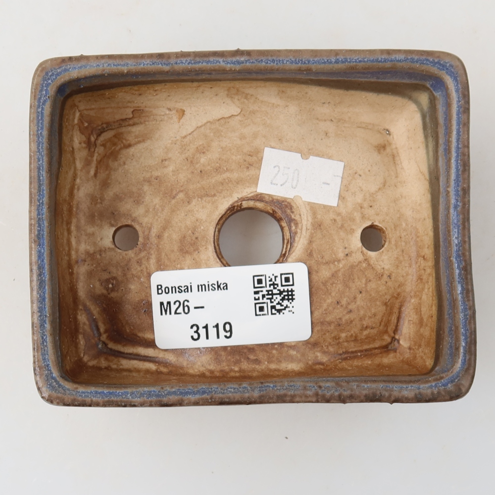 Pot à bonsaï en céramique 10 x 8 x 4 cm, couleur bleue