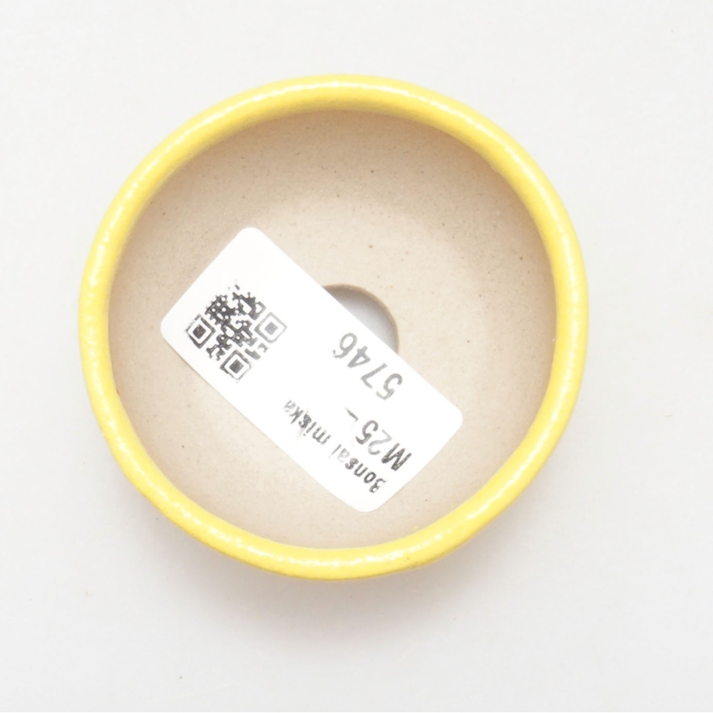 Bol à bonsaï en céramique 6 x 6 x 2,5 cm, jaune