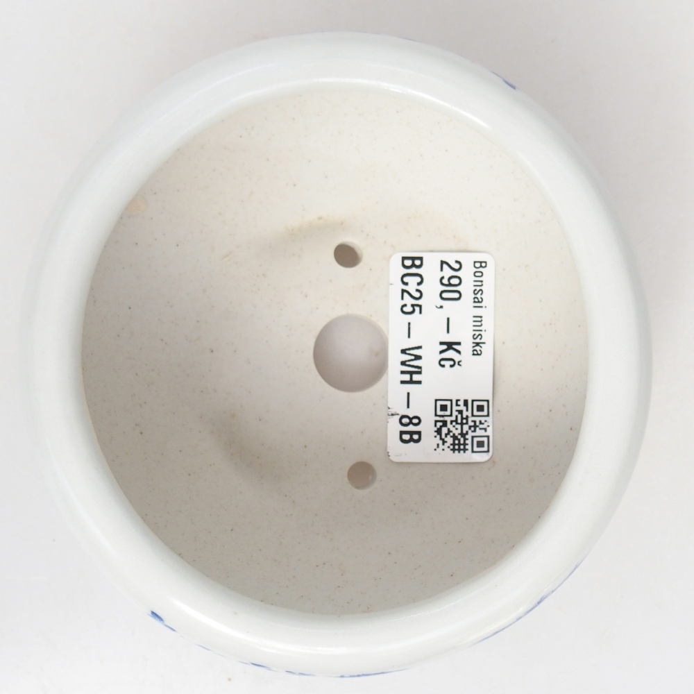 Bol à bonsaï en céramique 10 x 10 x 5 cm, couleur blanc