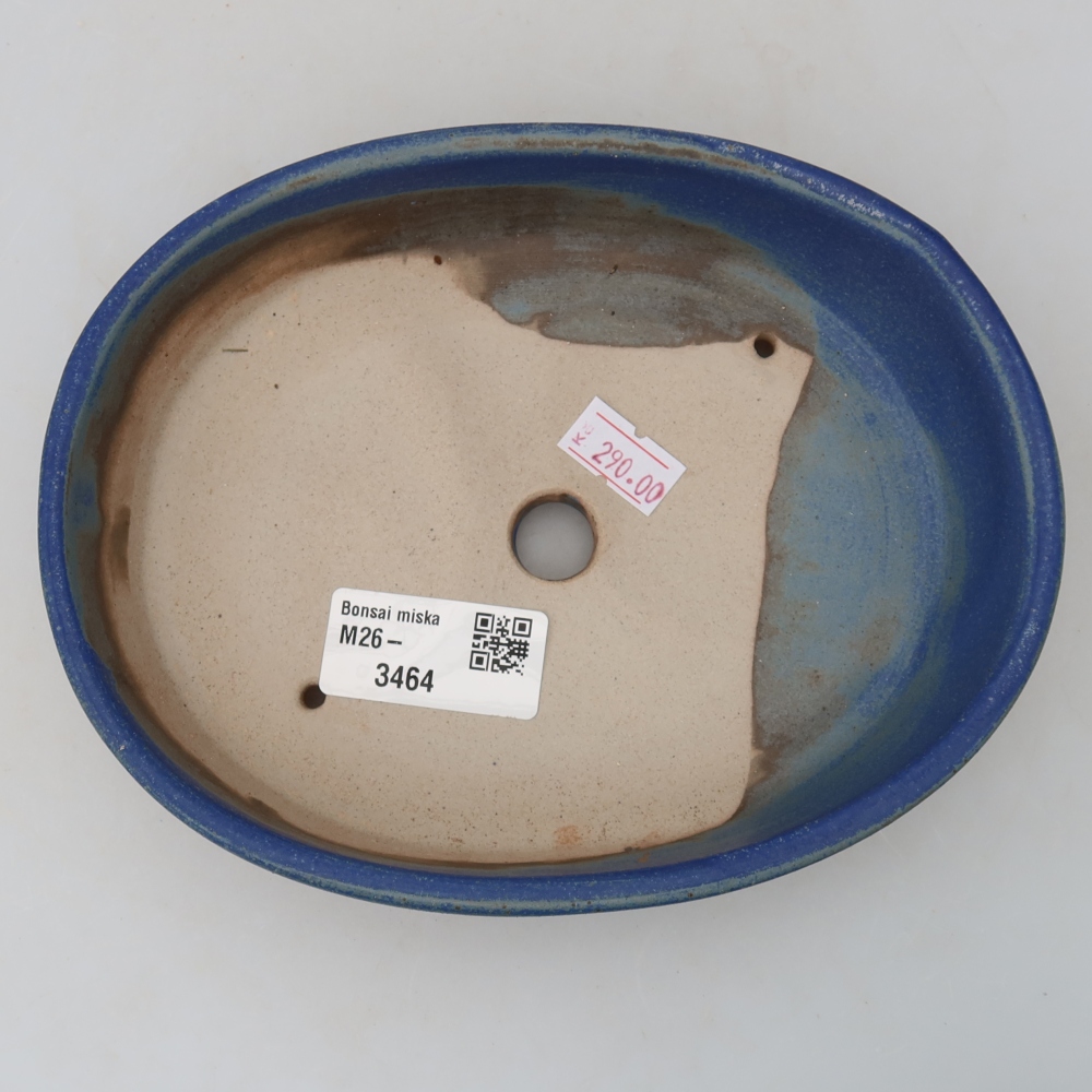 Pot à bonsaï en céramique 17 x 14 x 4 cm, couleur bleue