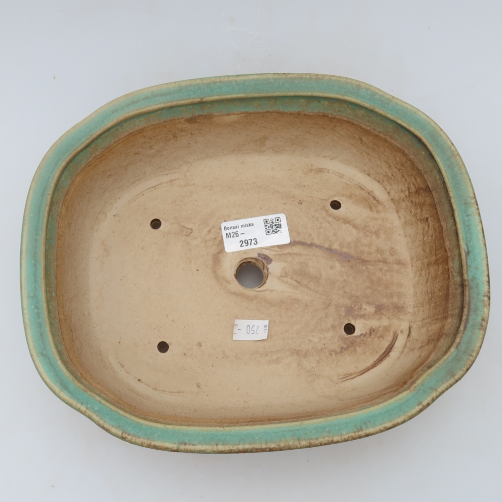Bol à bonsaï en céramique 25 x 21 x 8 cm, vert