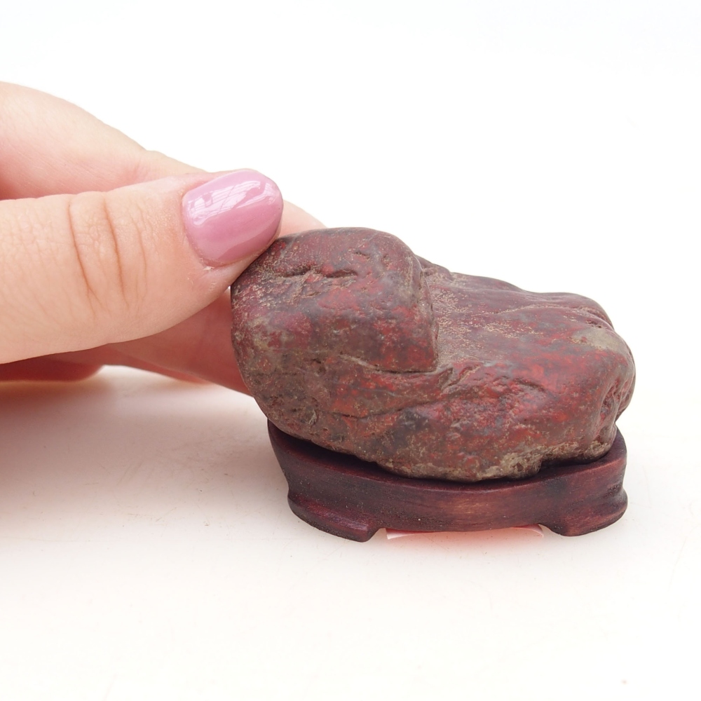 Suiseki - Pierre avec DAI (base en bois)