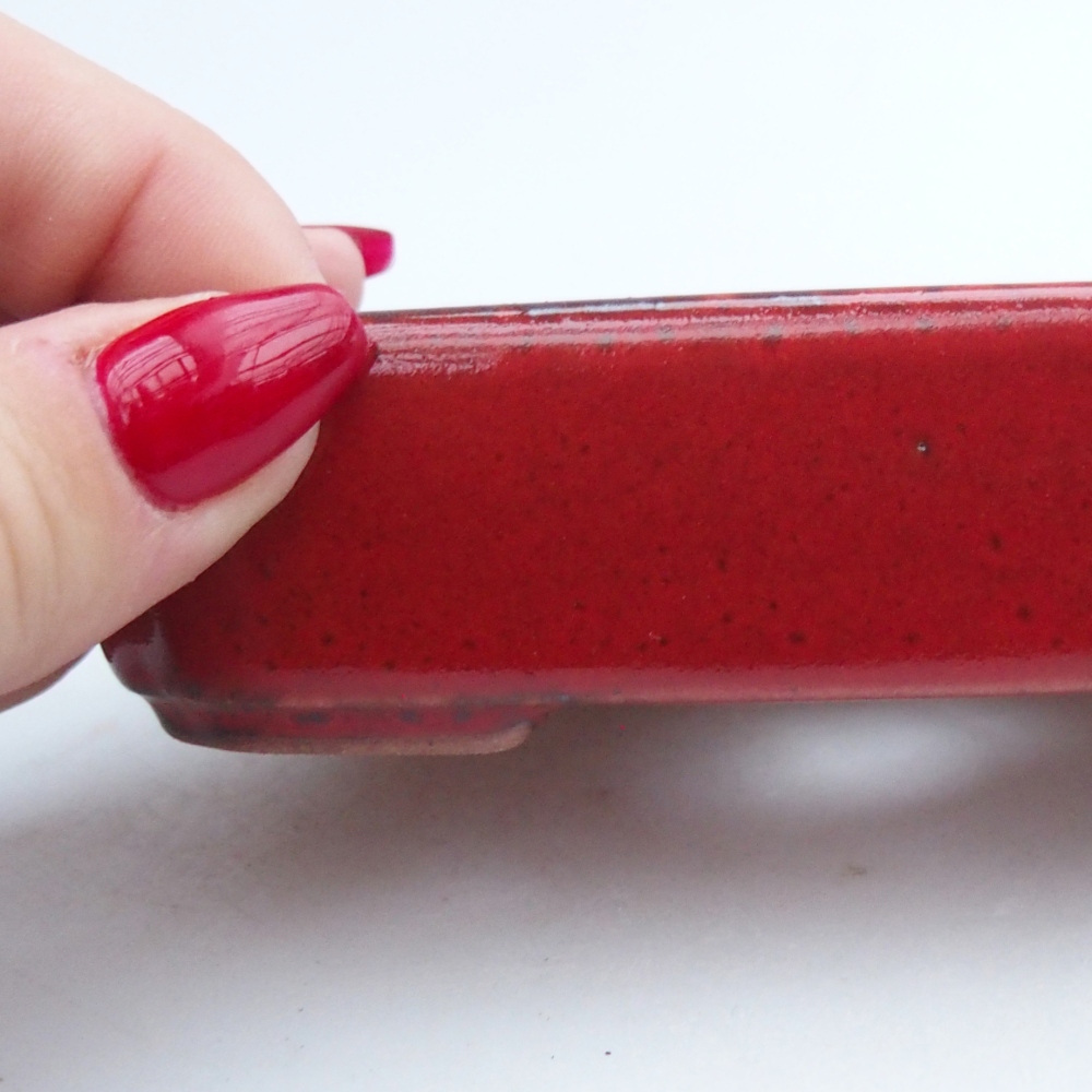 Bol à bonsaï en céramique 12 x 9 x 3 cm, couleur rouge