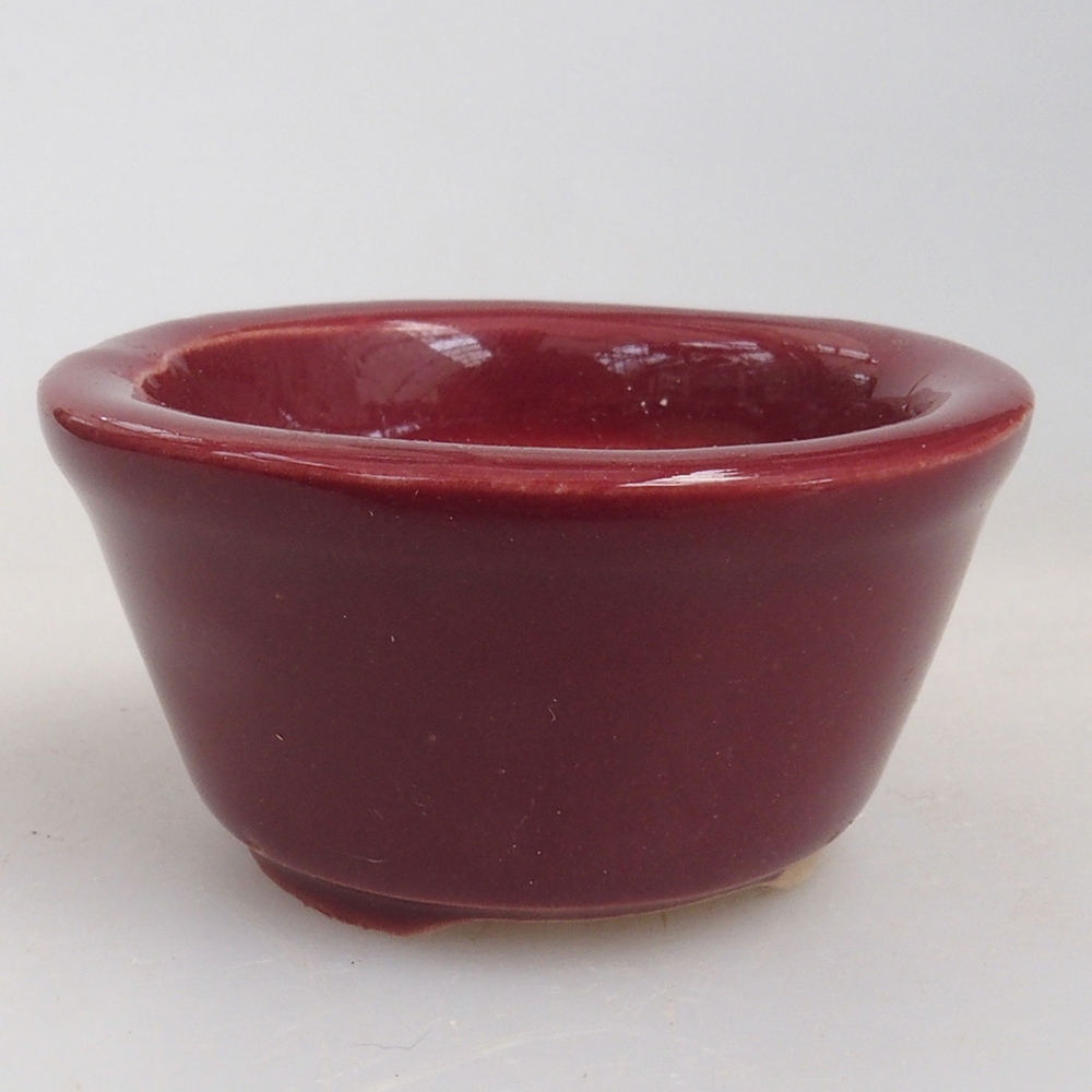 Mini bol bonsaï 4 x 4 x 2 cm, bordeaux