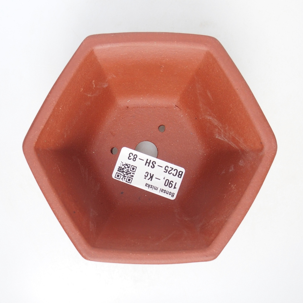 Bol 13 x 11,5 x 6 cm couleur brique