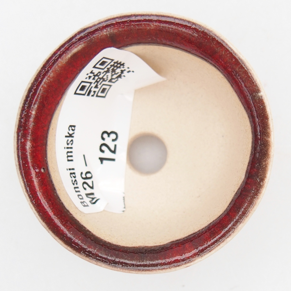 Mini bol bonsaï 5 x 5 x 3 cm, couleur rouge