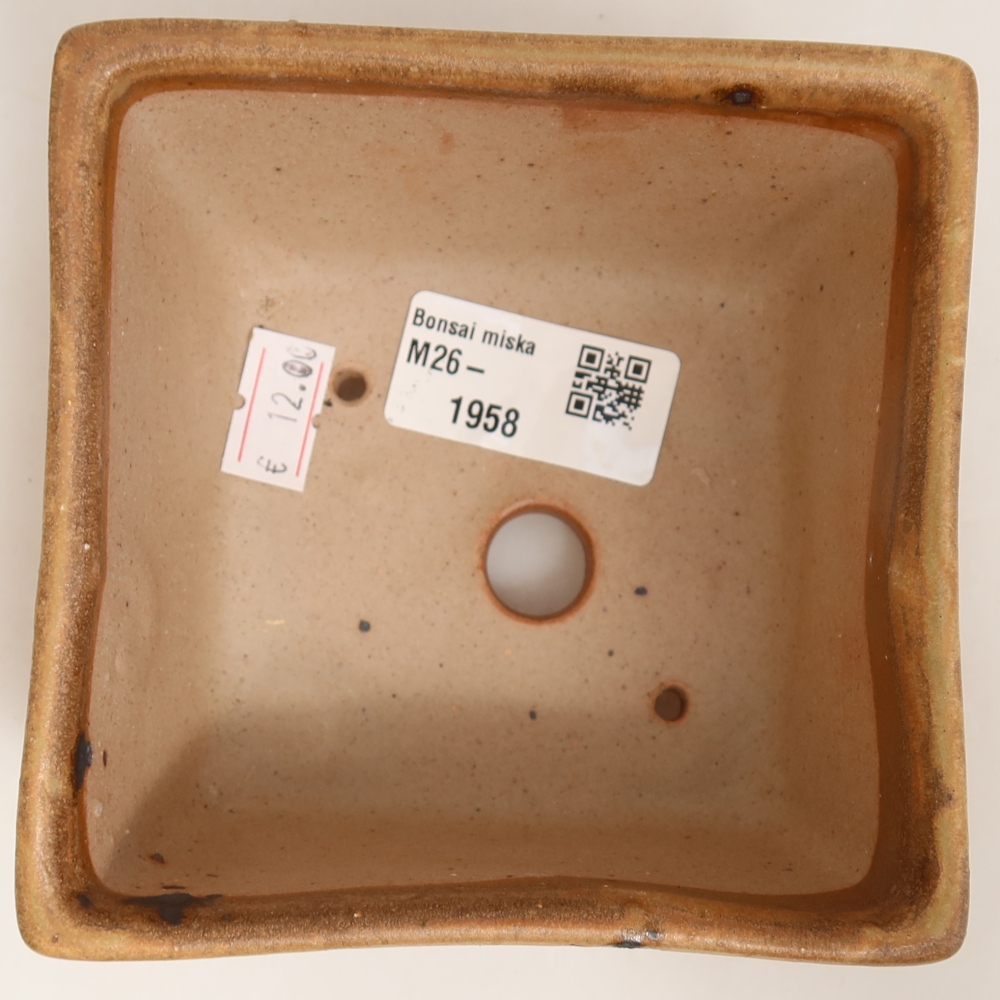 Pot à bonsaï en céramique 10,5 x 10,5 x 6,5 cm, couleur beige