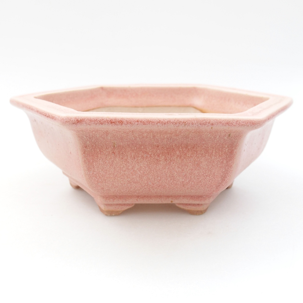 Bol à bonsaï en céramique 22 x 17 x 5 cm, vert