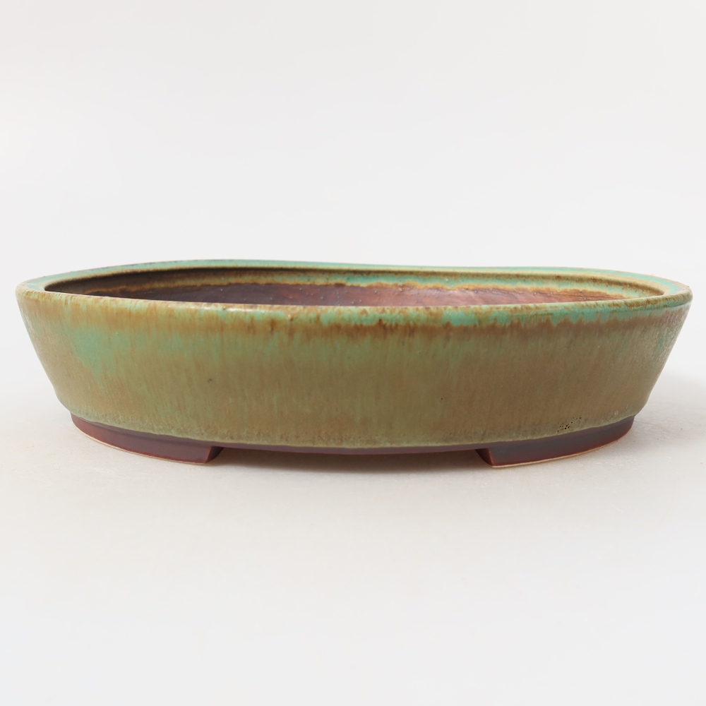 Bol à bonsaï en céramique 21 x 19 x 4,5 cm, vert