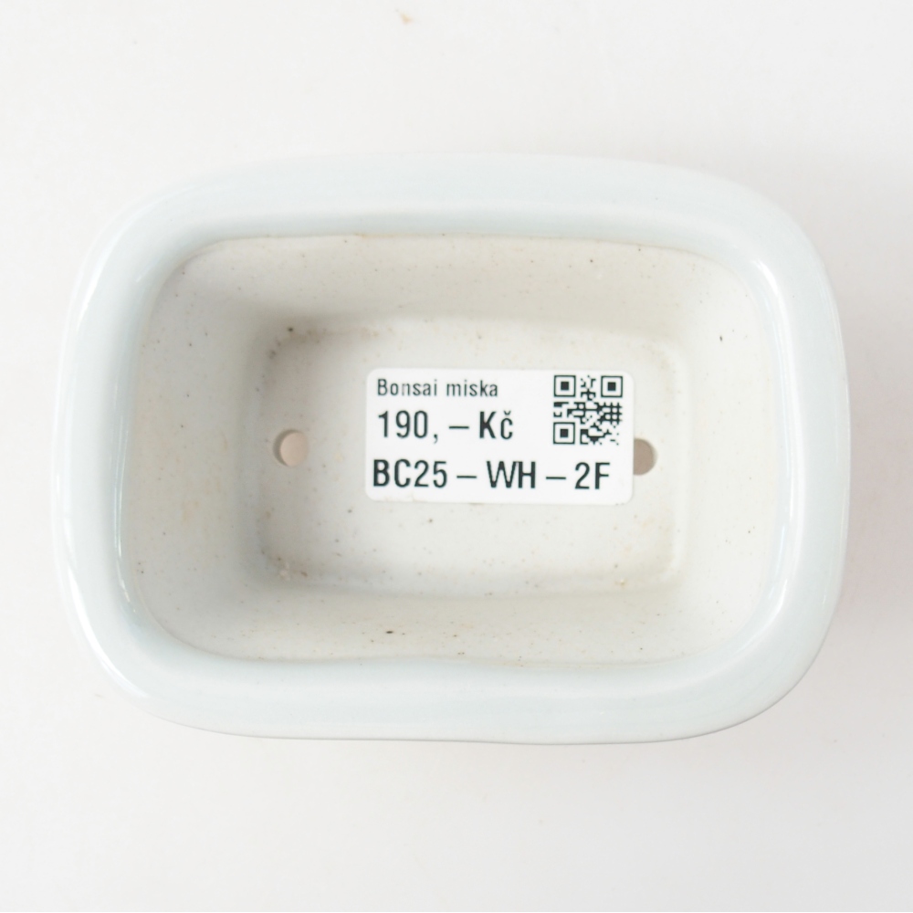 Mini bol bonsaï 10 x 7,5 x 4 cm, couleur blanc