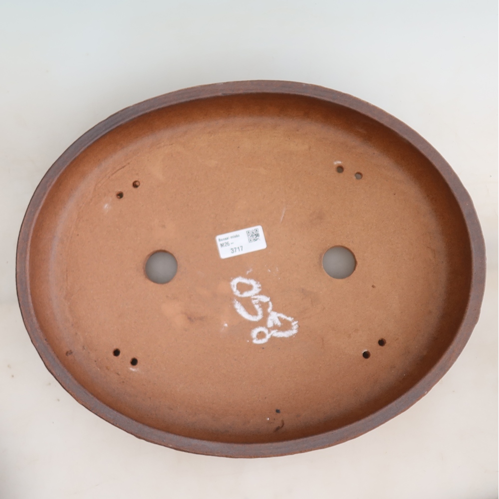 Pot à bonsaï en céramique 37 x 30 x 7 cm, couleur marron