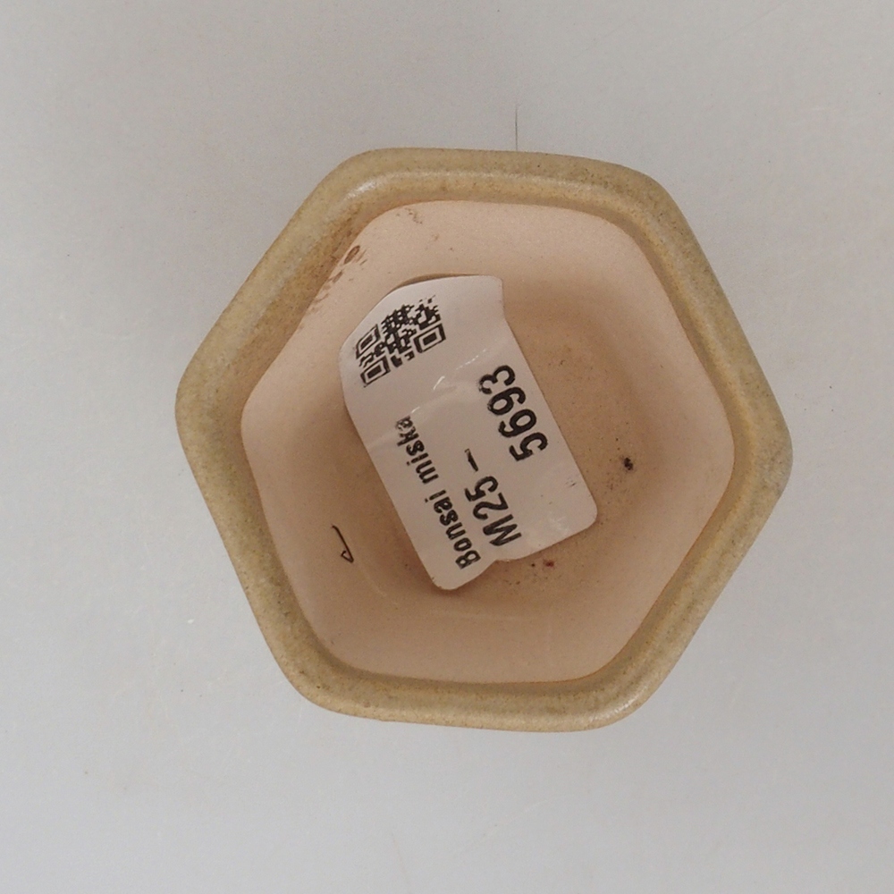 Mini bol bonsaï 5 x 5 x 5 cm, brun