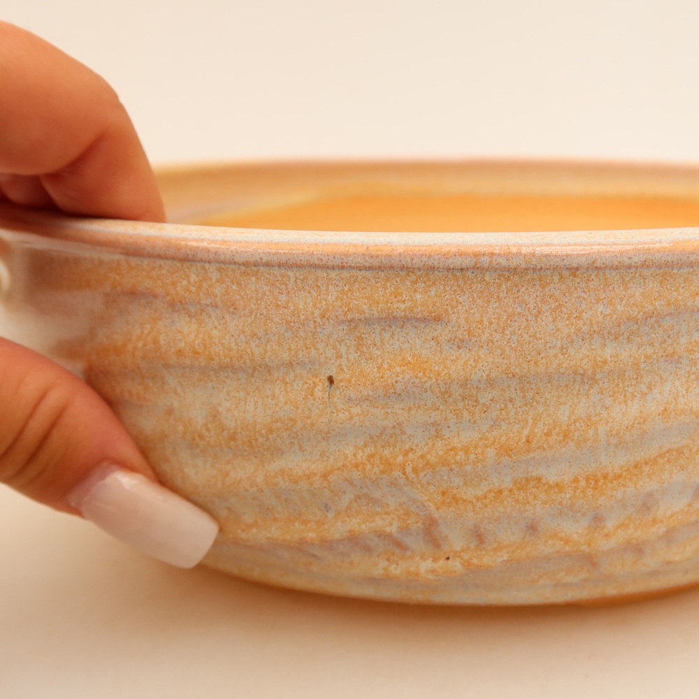 Pot à bonsaï en céramique 22 x 22 x 7 cm, couleur beige