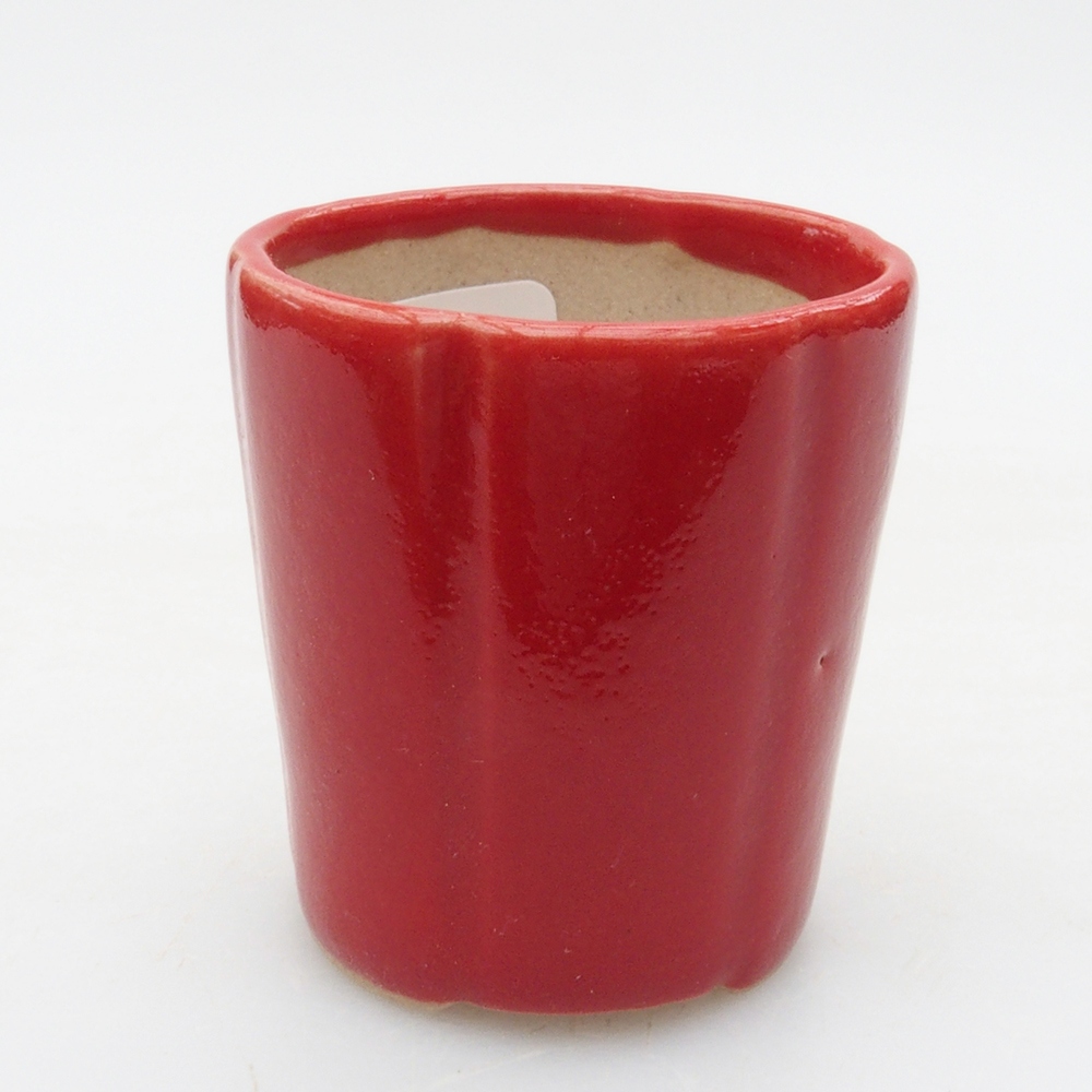 Mini bol bonsaï 4 x 4 x 4 cm, couleur rouge