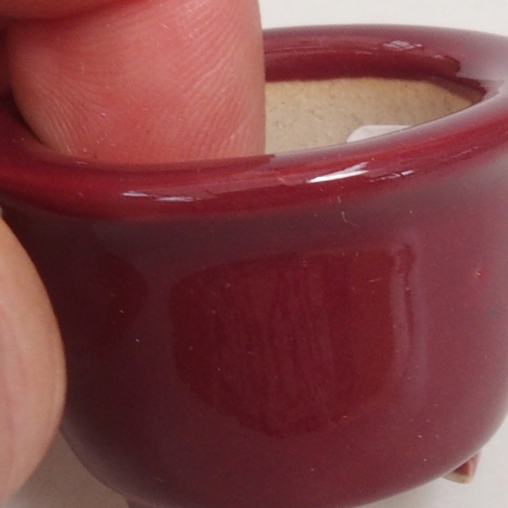 Mini bol bonsaï 3,5 x 3,5 x 2,5 cm, bordeaux