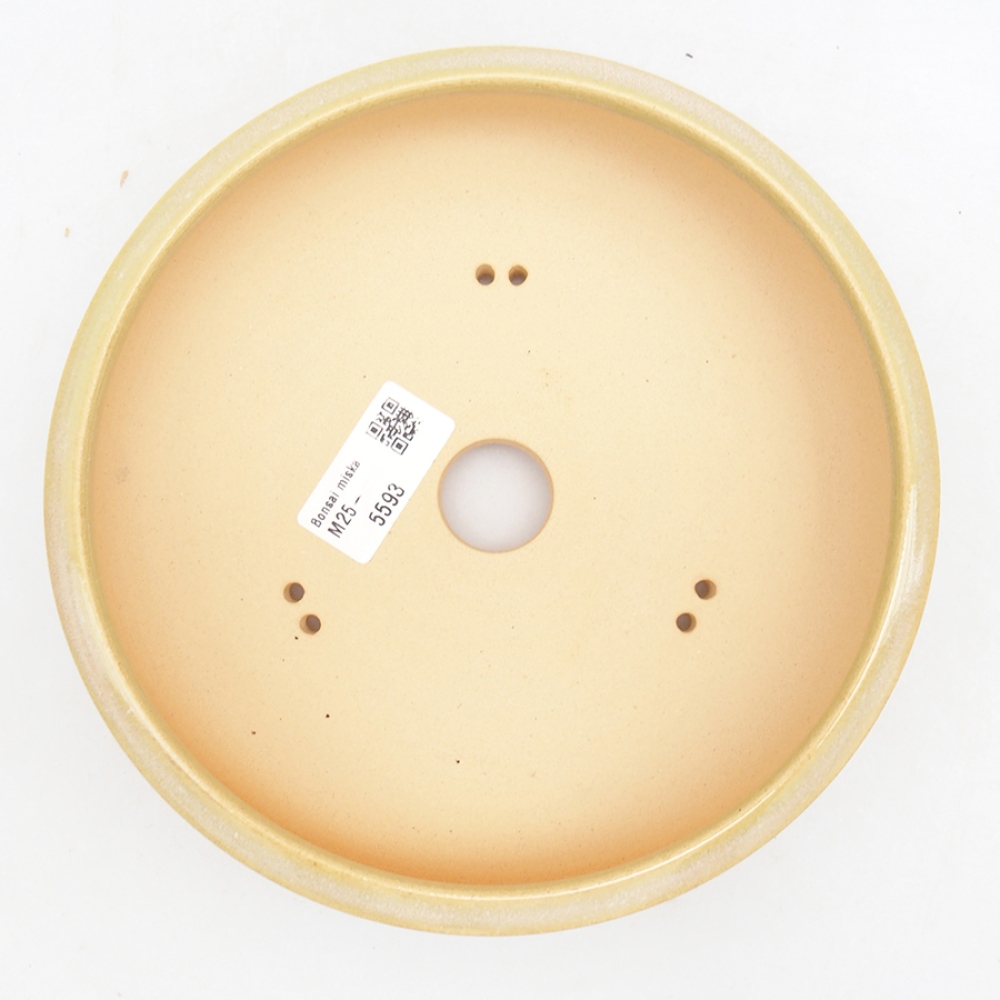 Bol à bonsaï en céramique 18,5 x 18,5 x 5,5 cm, vert