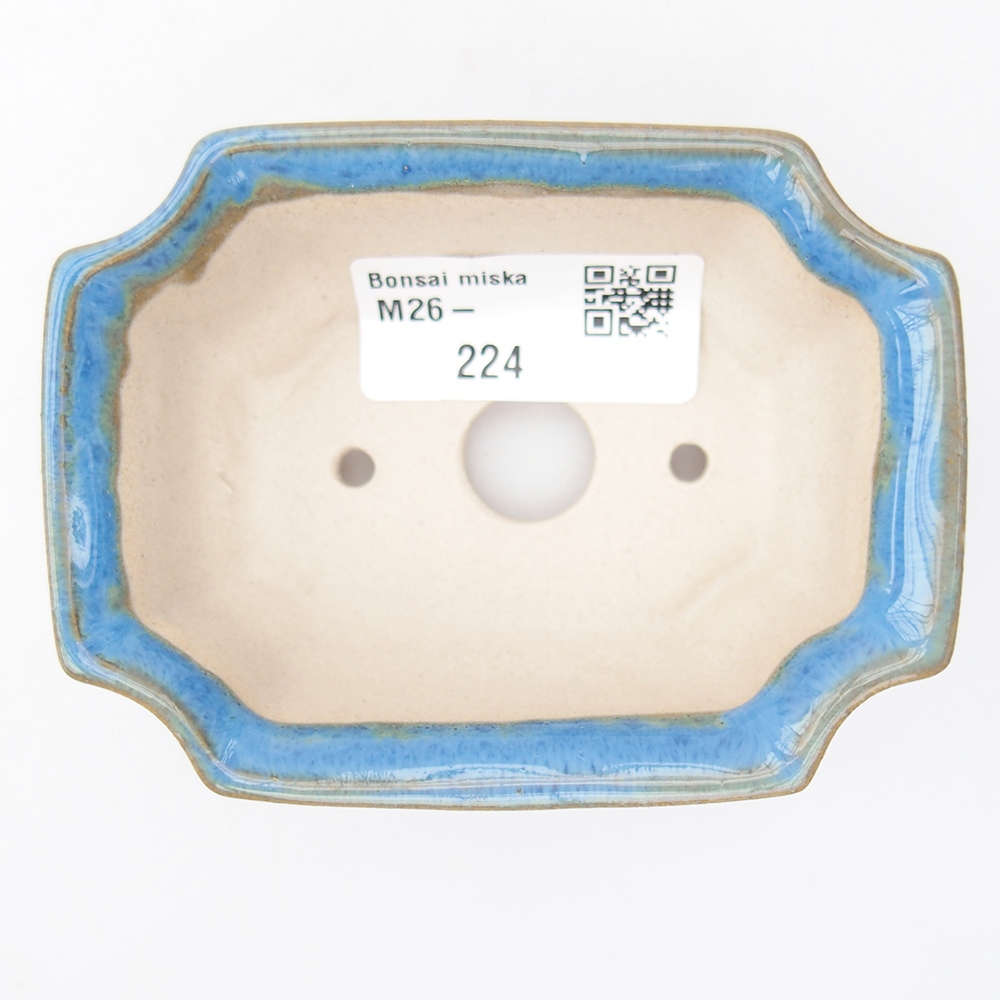 Mini bol bonsaï 9 x 6,5 x 3,5 cm, couleur bleu