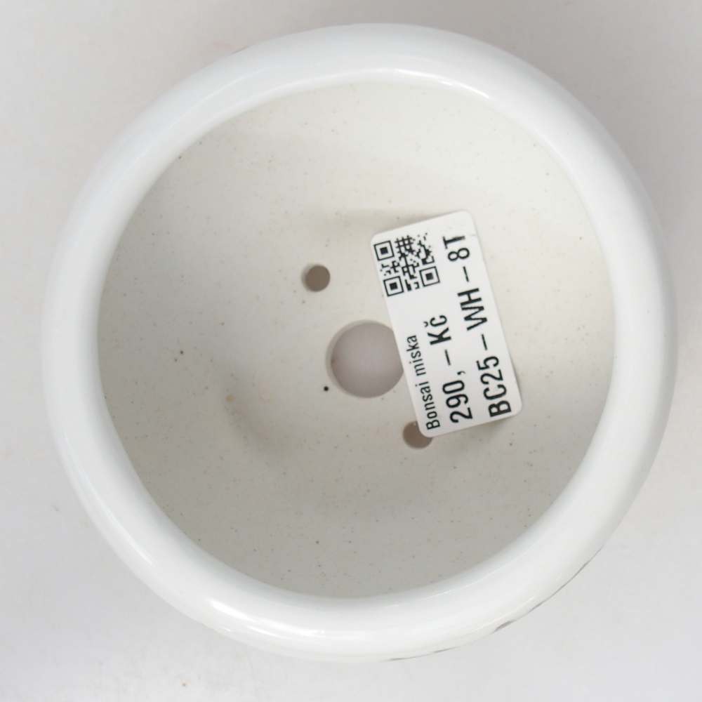 Bol à bonsaï en céramique 10 x 10 x 5 cm, couleur blanc