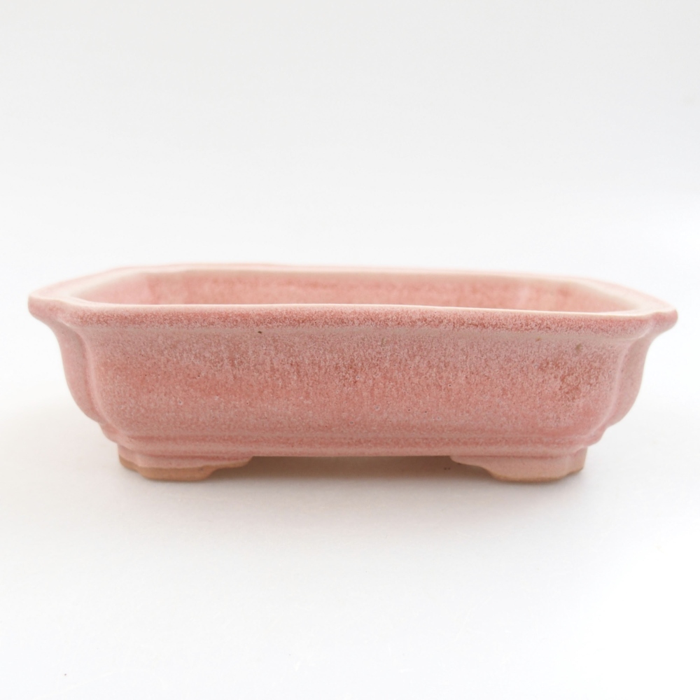 Bol à bonsaï en céramique 22 x 17 x 5 cm, vert