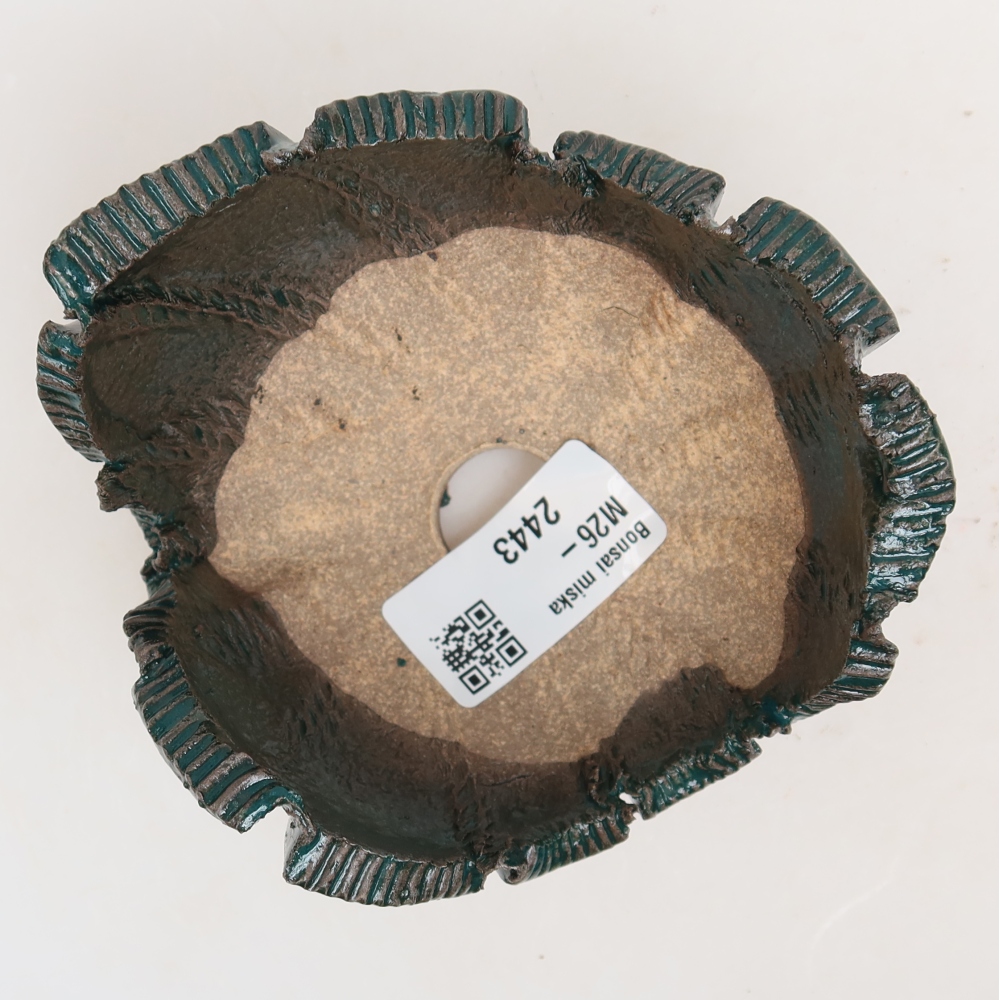 Coquille en céramique  10 x 10 x 6 cm, couleur verte