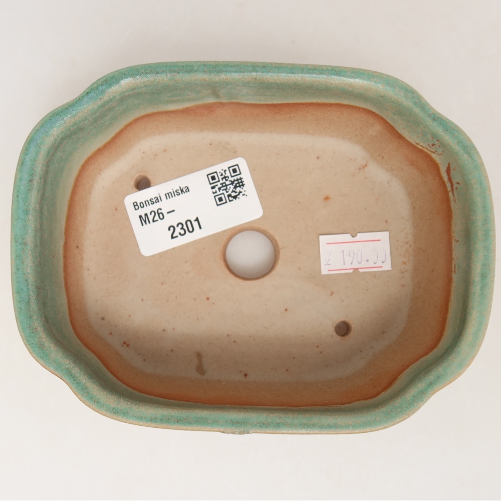 Pot à bonsaï en céramique 12,5 x 10 x 4,5 cm, couleur verte