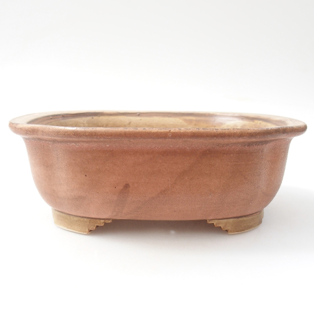 Bol à bonsaï en céramique 20 x 16 x 7 cm, rose