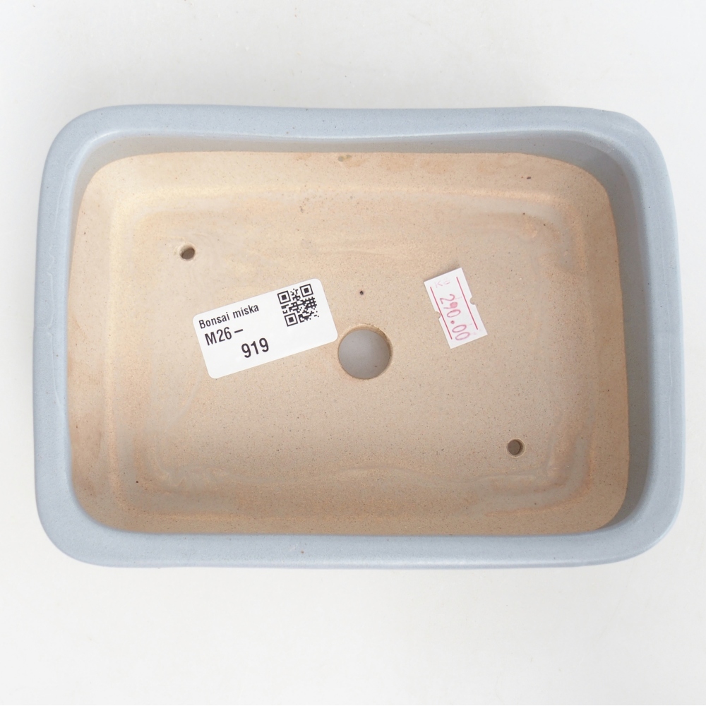 Bol à bonsaï en céramique 16,5 x 12 x 5,5 cm, couleur bleu