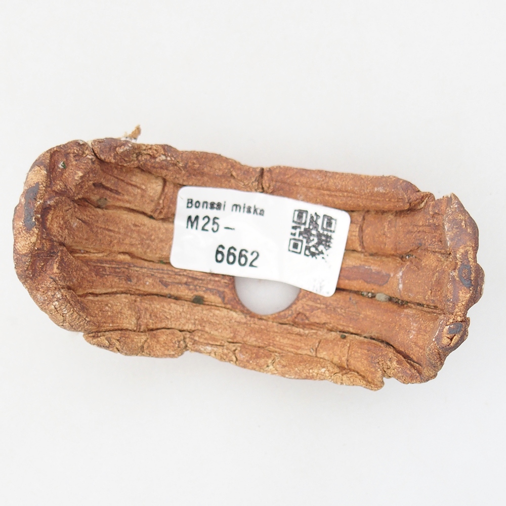 Coquille en céramique 9 x 4,5 x 4,5 cm , couleur marron