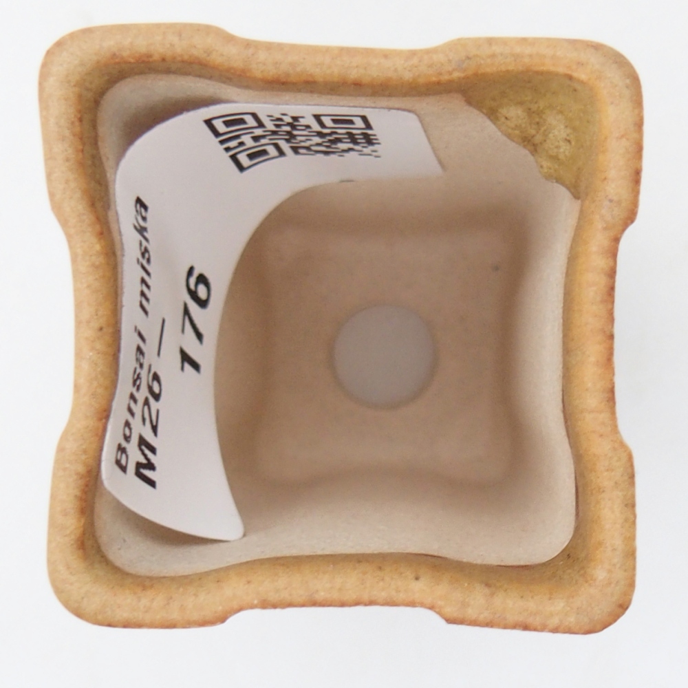 Mini bol à bonsaï 3,5 x 3,5 x 5,5 cm, brun