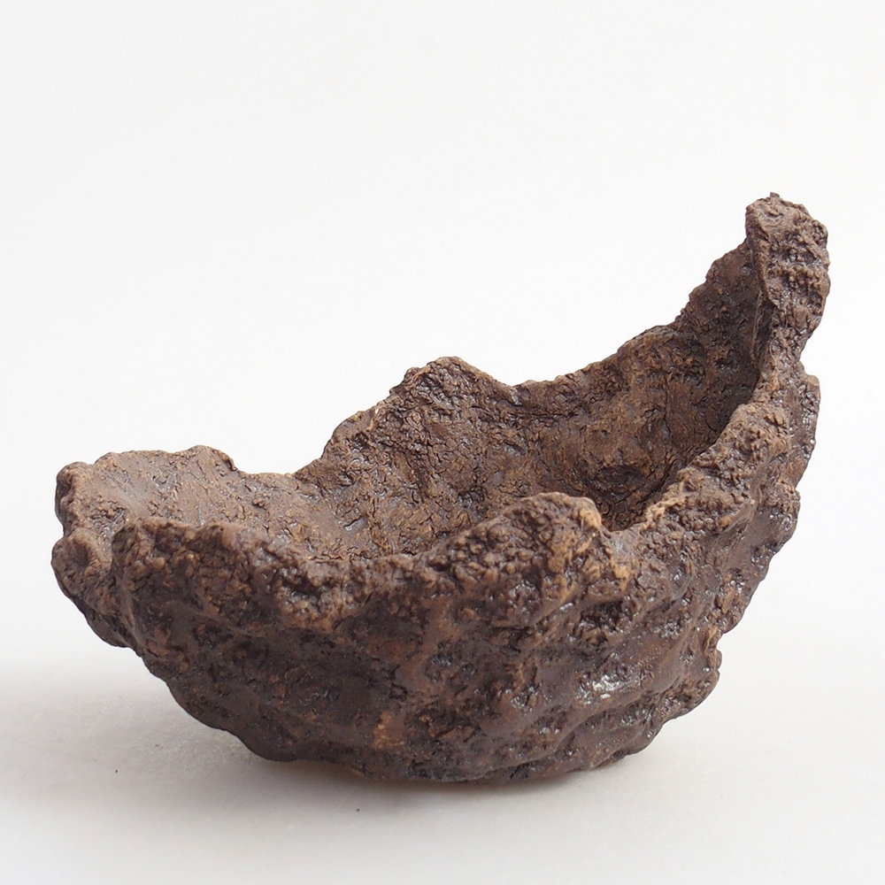 Coquille en céramique 13 x 11 x 11 cm , couleur marron