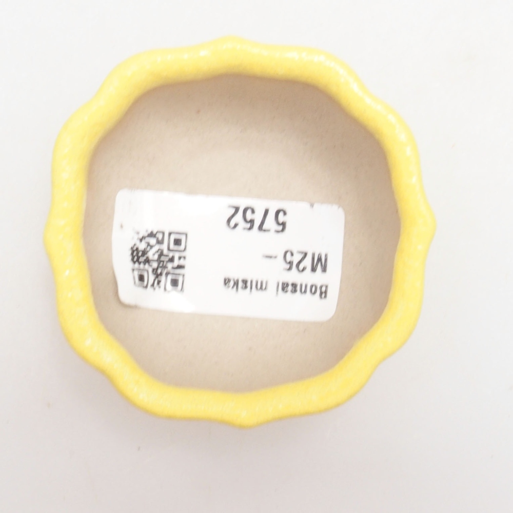 Bol à bonsaï en céramique 5,5 x 5,5 x 3 cm, jaune