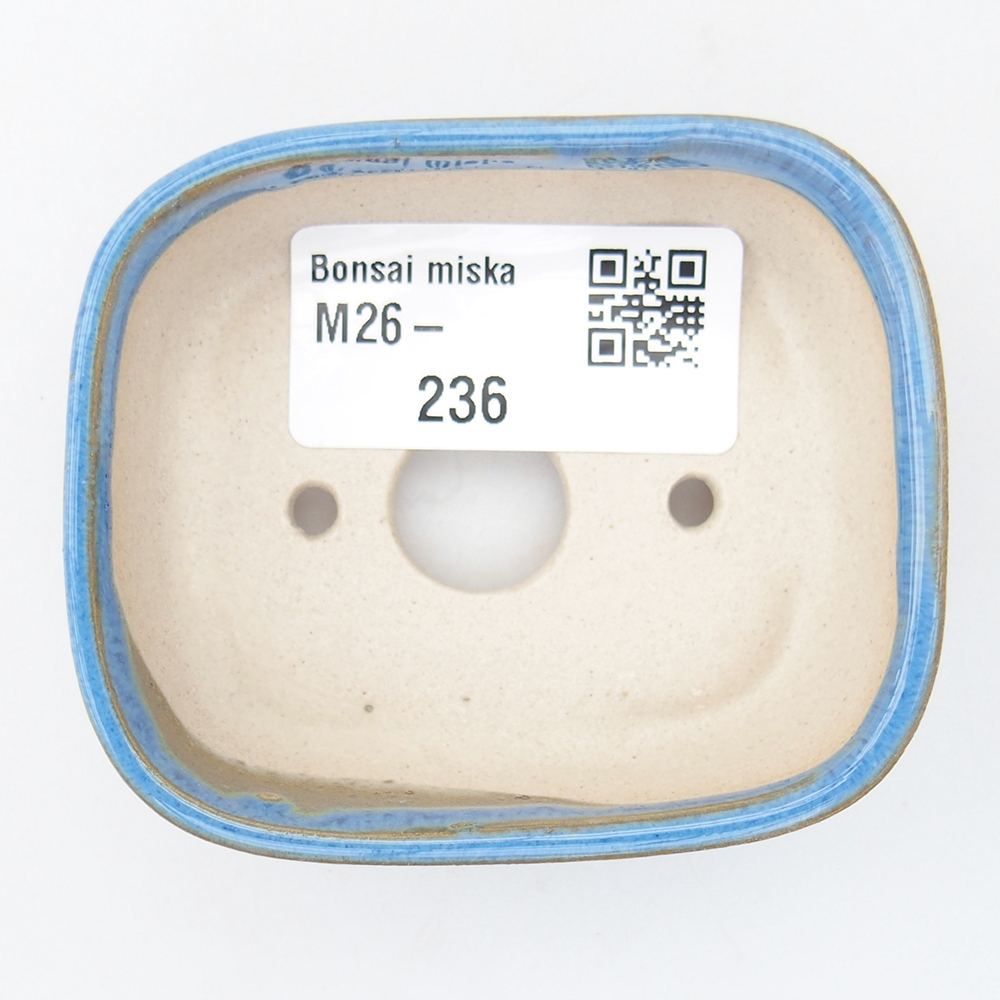 Mini bol bonsaï 7 x 6 x 2,5 cm, couleur bleu