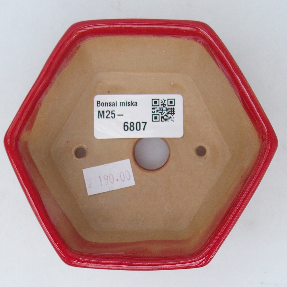 Bol à bonsaï en céramique 10,5 x 9,5 x 5 cm, couleur rouge