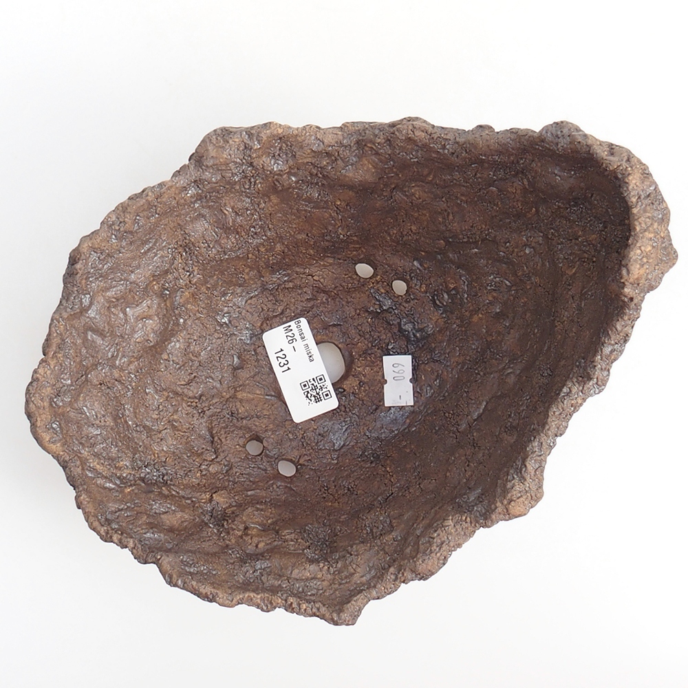 Coquille en céramique 20 x 16 x 17 cm , couleur marron