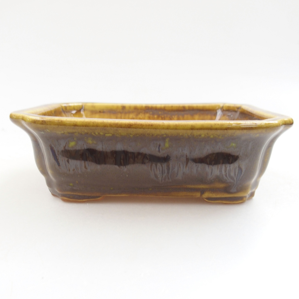 Bol à bonsaï en céramique 22 x 17 x 5 cm, vert