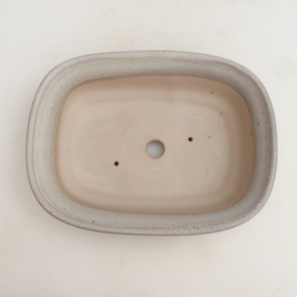 Coupe bonsaï H25 - 23 x 17 x 5,5 cm - beige