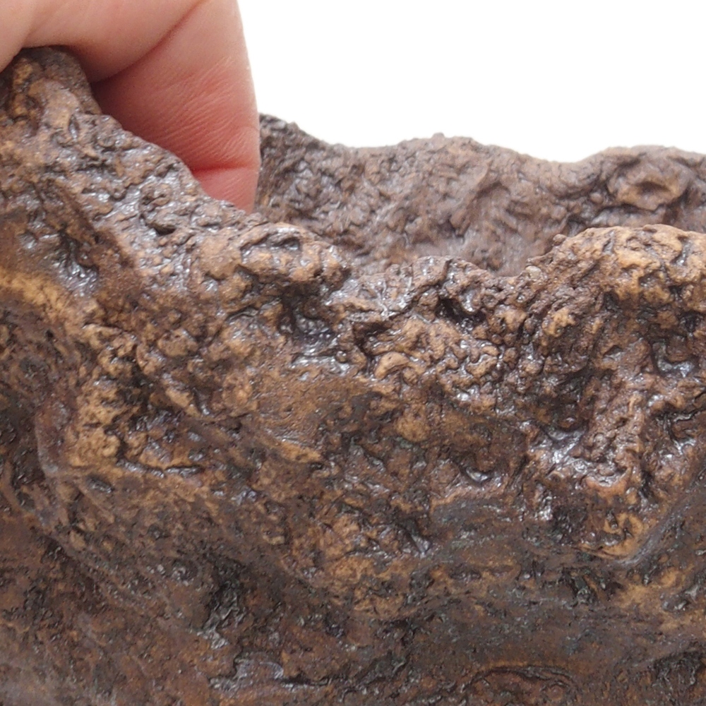 Coquille en céramique 18 x 17 x 17,5 cm , couleur marron