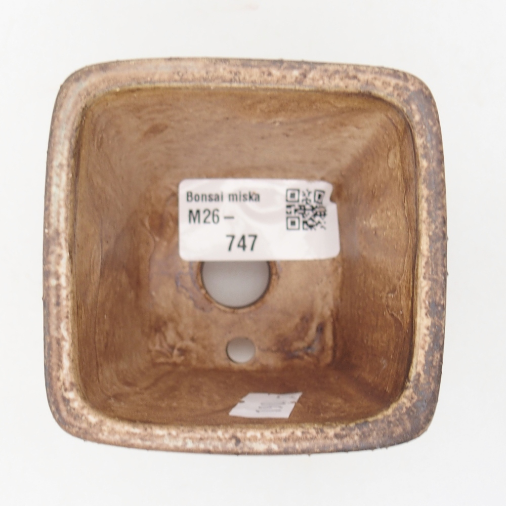 Bol à bonsaï en céramique 7,5 x 7,5 x 7,5 cm, vert