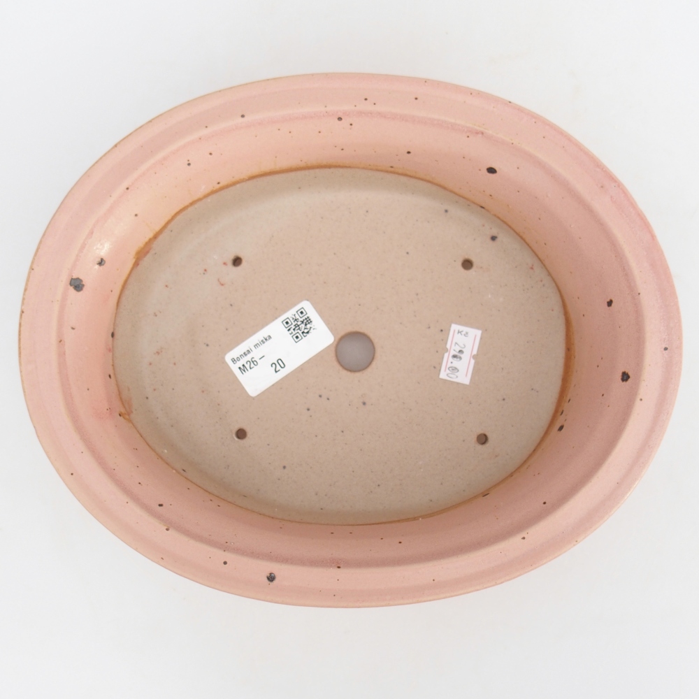 Bol à bonsaï en céramique 22,5 x 18,5 x 7 cm, rose