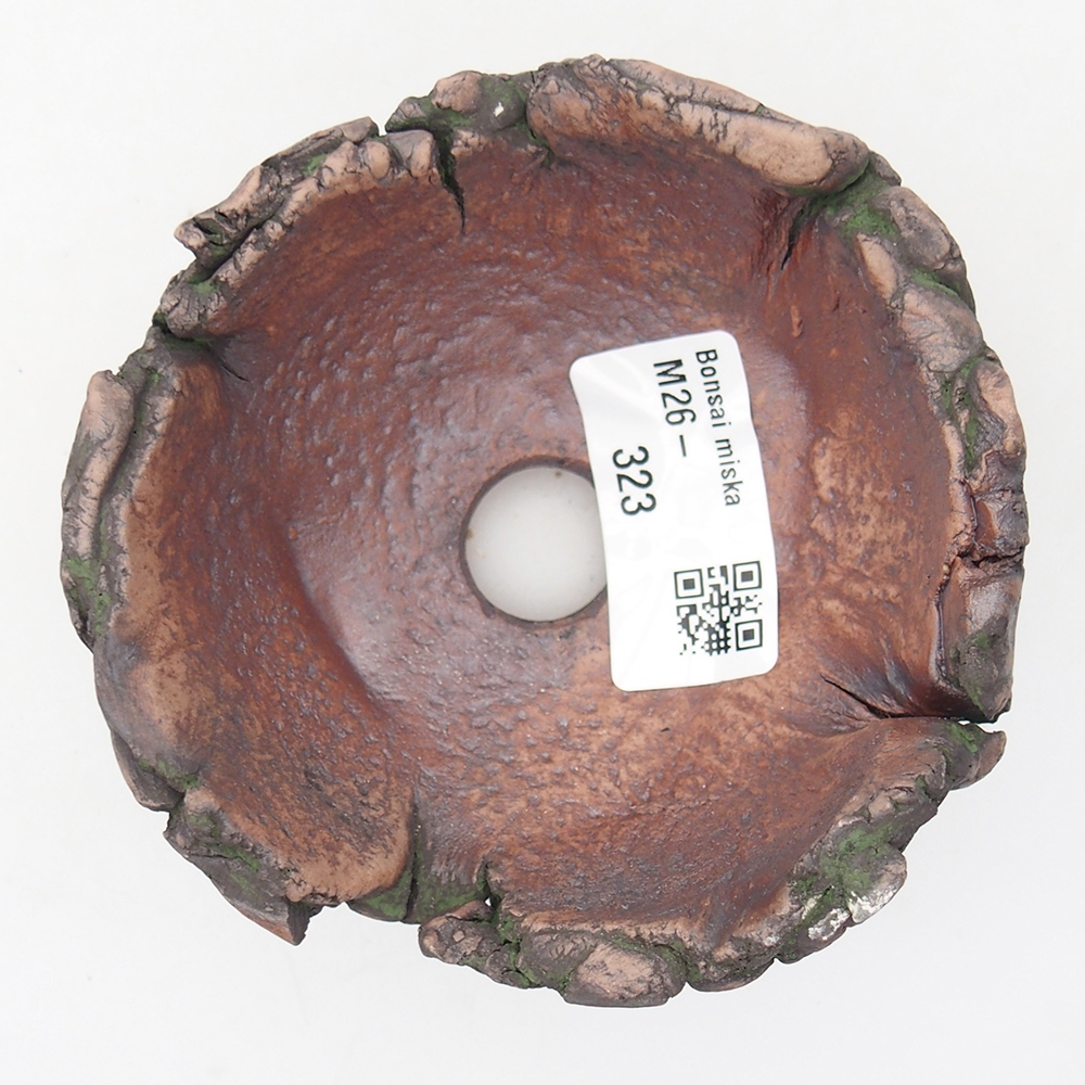 Coquille en céramique 9,5 x 9,5 x 6 cm , couleur verte