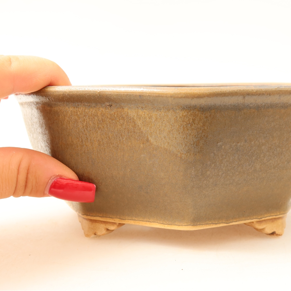 Pot à bonsaï en céramique 17 x 16 x 6,5 cm, couleur marron