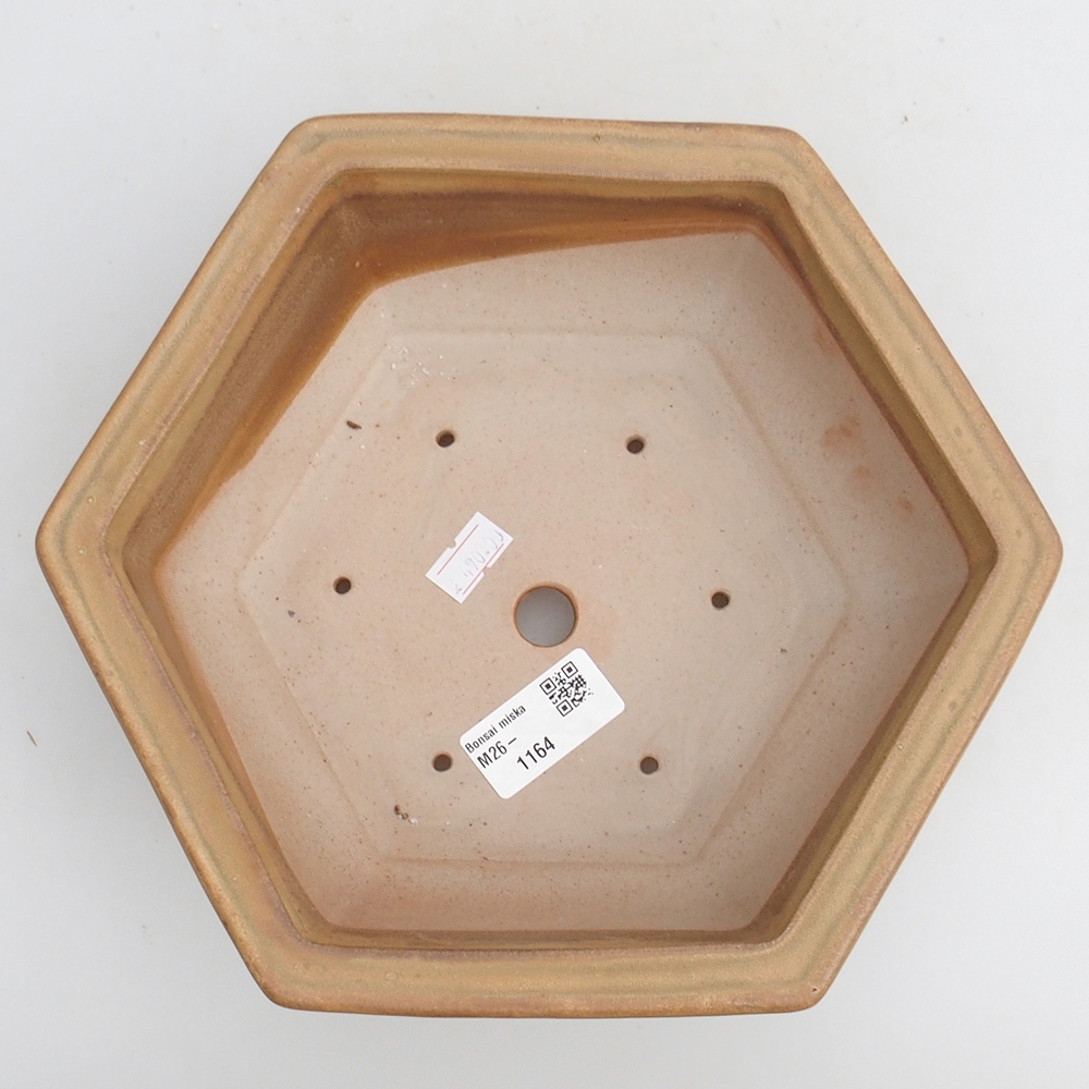 Bol à bonsaï en céramique 23 x 21 x 7,5 cm, couleur beige