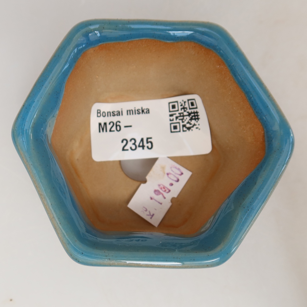 Bol à bonsaï en céramique 7,5 x 7 x 4 cm, couleur bleu