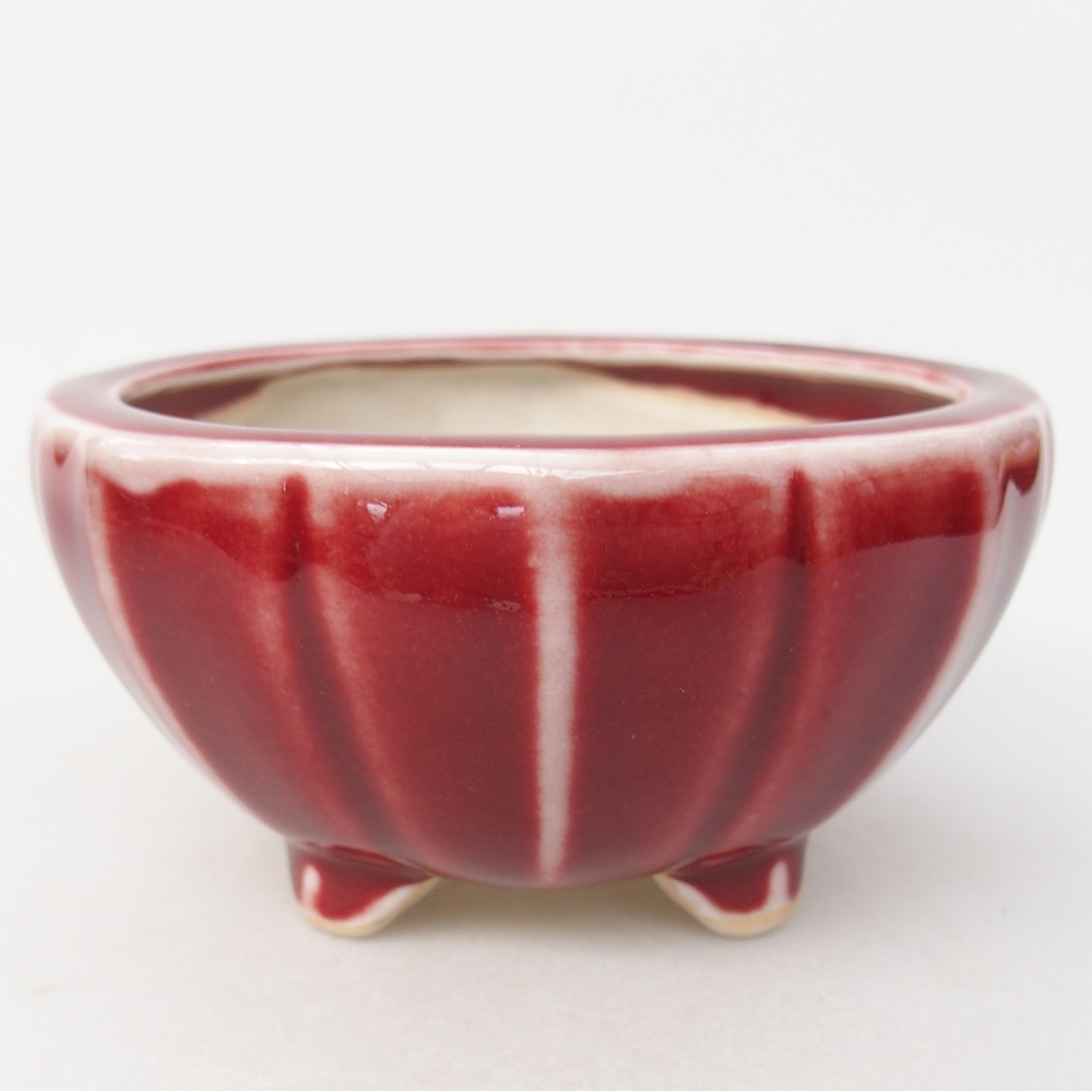 Bol à bonsaï en céramique 11 x 11 x 5,5 cm, couleur rouge